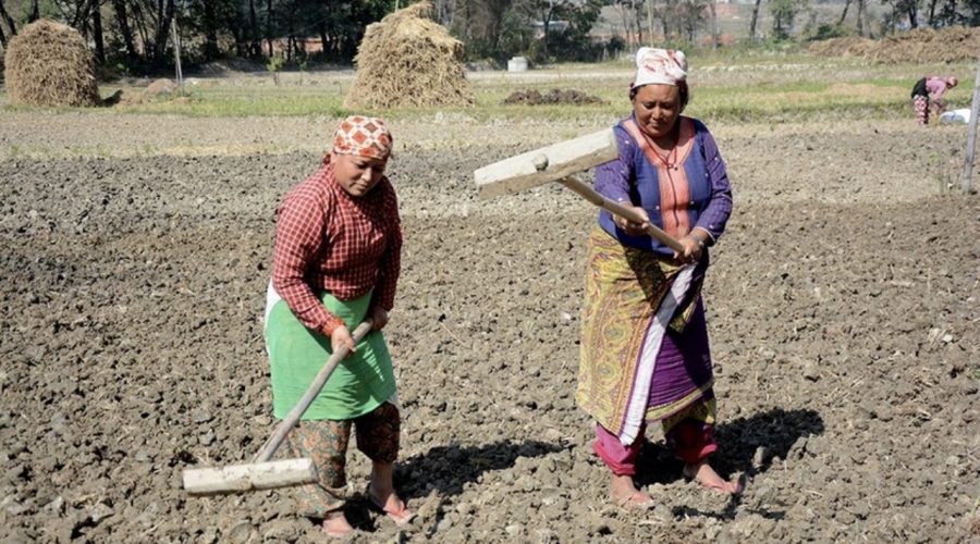 अन्तर्राष्ट्रिय किसानको विश्वव्यापी बैठक नेपालमा हुने