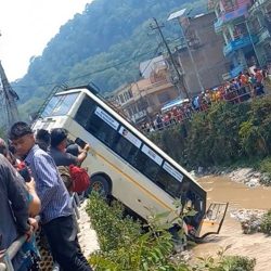 ट्र्याक्टरमा ल्याउँदै गरेको ८२ किलो गाँजासहित दुईजना पक्राउ